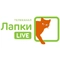 Лапки Live Лапки Live